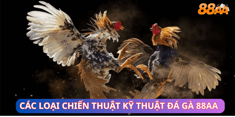 Các loại chiến thuật kỹ thuật đá gà 88aa