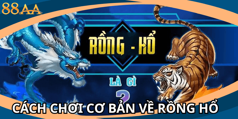Cách chơi cơ bản về rồng hổ
