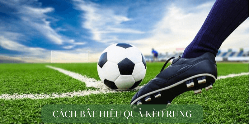 Cách bắt hiệu quả kèo rung